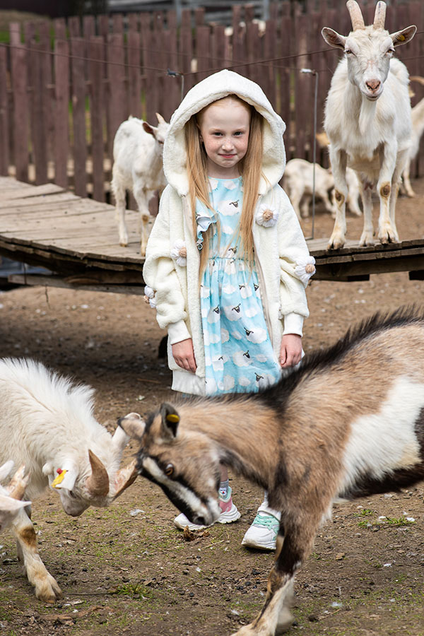 Голубое детское хлопковое платье с принтом "Овечки"