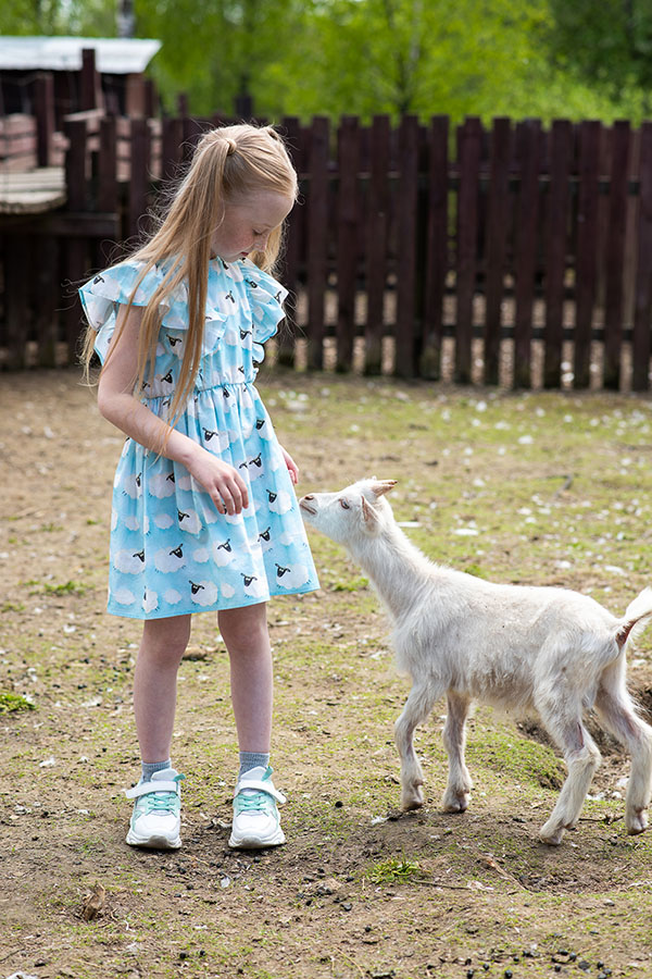 Голубое детское хлопковое платье с принтом "Овечки"